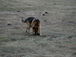 Fotoblog ziaba41