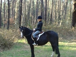Fotoblog kimbi