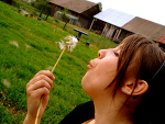 Fotoblog moody1