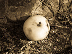 Fotoblog myphoooto