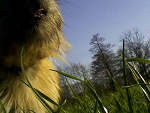 Fotoblog malwimka
