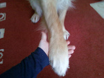 Fotoblog 2789
