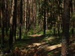 Fotoblog moorphinee