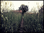 Fotoblog tacomabrzytkieoczy