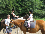 Fotoblog liliavite