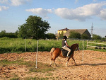 Fotoblog arrlena1