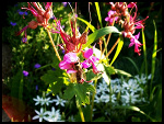 Fotoblog tykus13