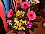 Fotoblog suzi125