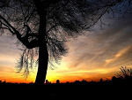 Fotoblog bebebabilok