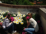 Fotoblog xcarmellovex