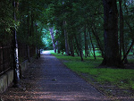 Fotoblog bejbebejbe
