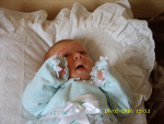 Fotoblog kicia9515
