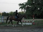 Fotoblog koniarka1998