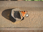 Fotoblog smykuu