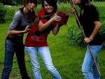 Fotoblog wwwwikii