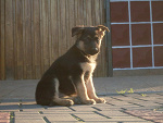 Fotoblog zlomek12