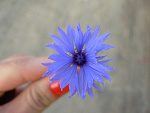 Fotoblog agnieszka06