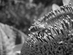 Fotoblog idealniexonieidealna