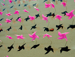 Fotoblog enjoyhappiness