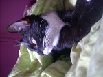 Fotoblog m080