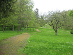 Fotoblog monaliza