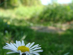Fotoblog nikaralchan