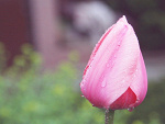 Fotoblog honnneyyy