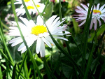 Fotoblog dori205