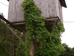 Fotoblog midobl