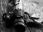 Fotoblog gutex233