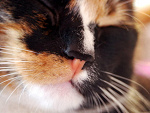 Fotoblog magoda27
