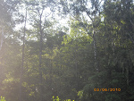Fotoblog karolinkagh