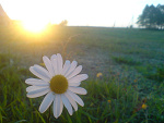 Fotoblog papaszex
