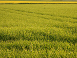 Fotoblog kiedysbedeszczesliwa