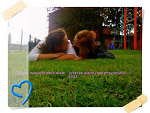 Fotoblog magicfeaturexd