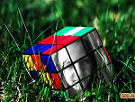Fotoblog daisy6996