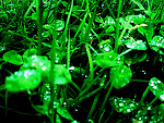 Fotoblog justysia19951