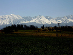 Fotoblog joshimi