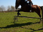 Fotoblog biluniek