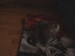Fotoblog 1996snickers