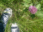 Fotoblog crazy10