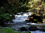Fotoblog annb