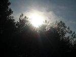 Fotoblog zanusia7