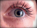 Fotoblog kachna1418