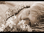 Fotoblog goldlion