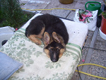 Fotoblog adela555