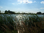Fotoblog blackberry89