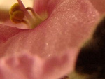 Fotoblog trampkowaksiezniczkaa