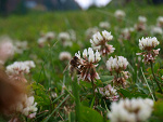 Fotoblog nietypowysmak