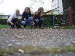 Fotoblog nicoolka